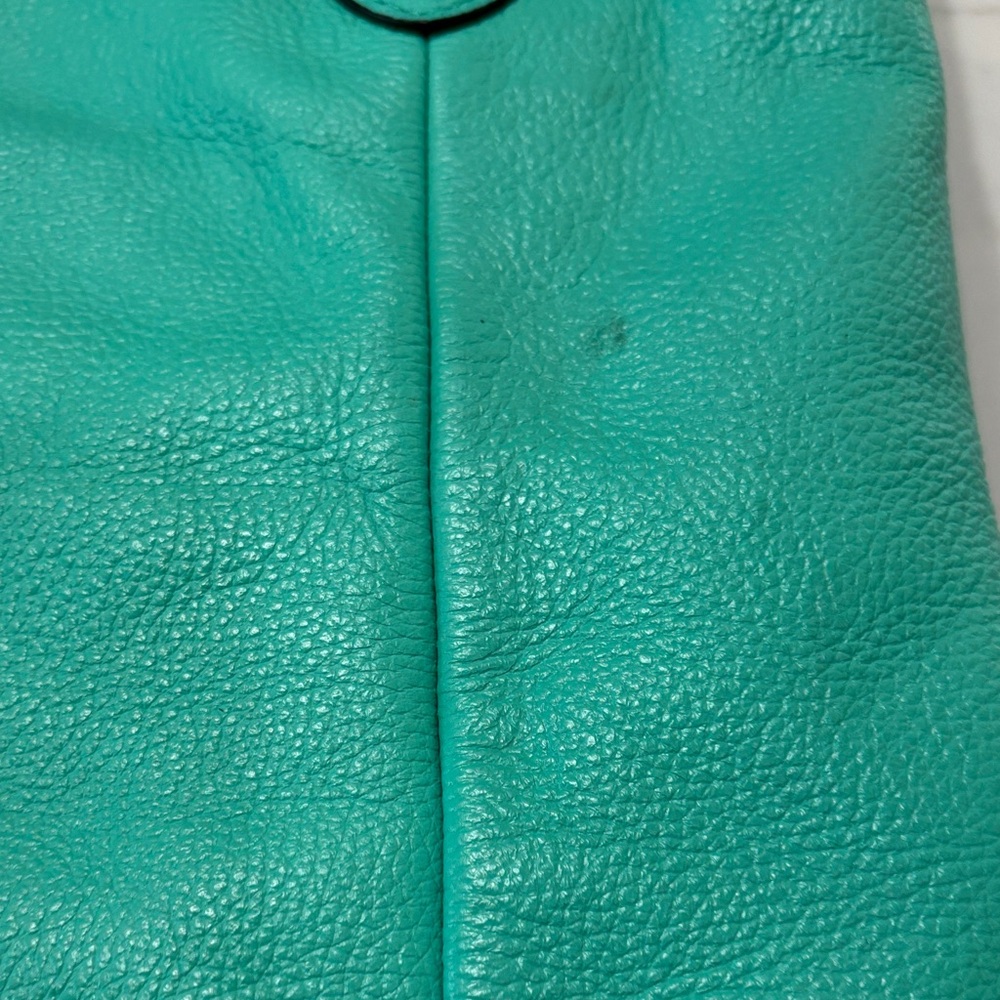 Dooney & Bourke Turquoise Leather Shoulder Bag with Gold Hardware - Picture 11 of 17